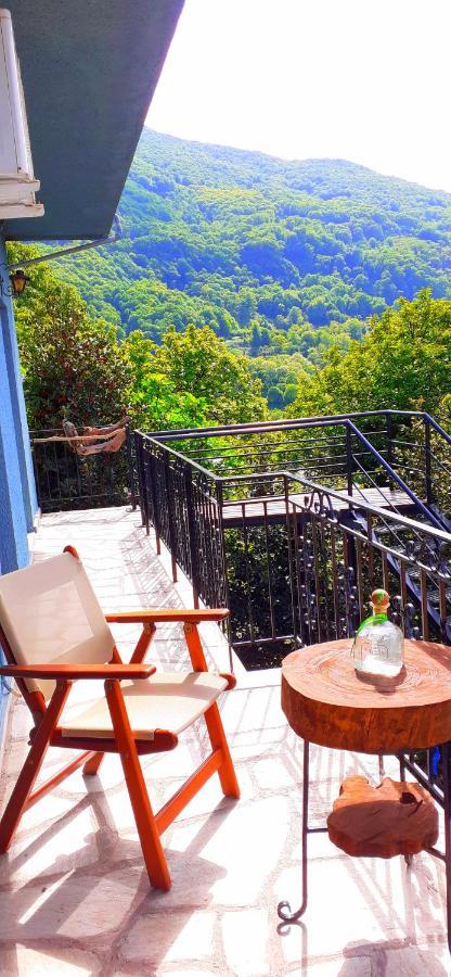 Golden Mountain Guest House Anilio Pelion Bagian luar foto