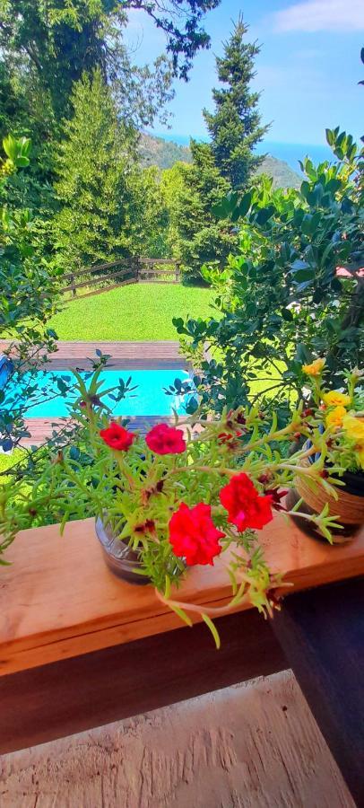 Golden Mountain Guest House Anilio Pelion Bagian luar foto