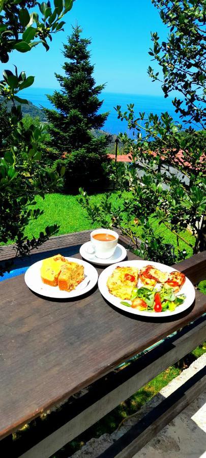 Golden Mountain Guest House Anilio Pelion Bagian luar foto